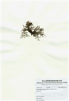藏品(網狀球枝藻)的圖片
